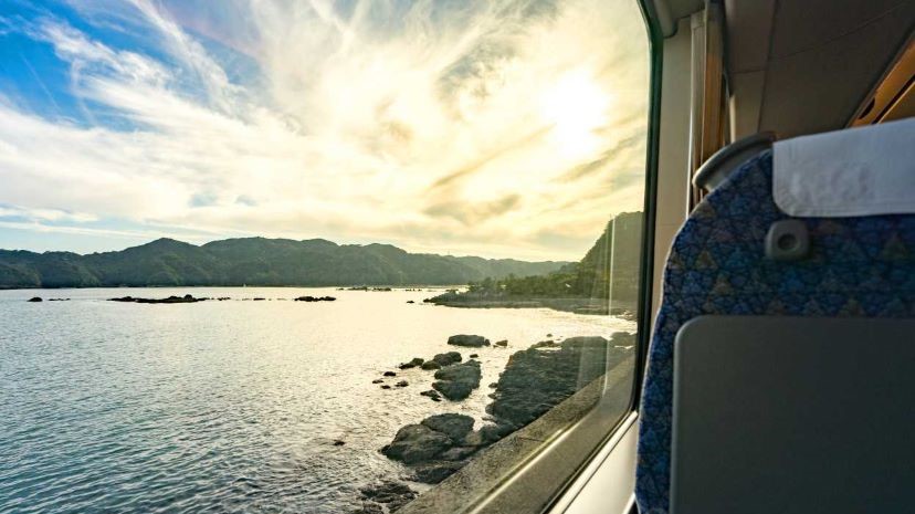 Coastal View on Train