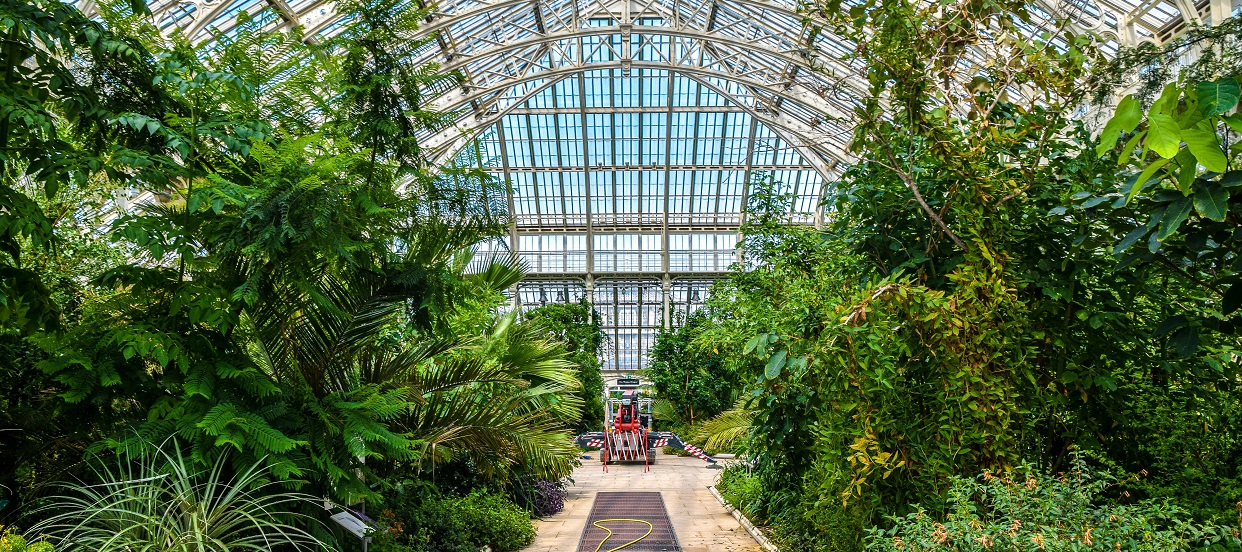Kew Gardens