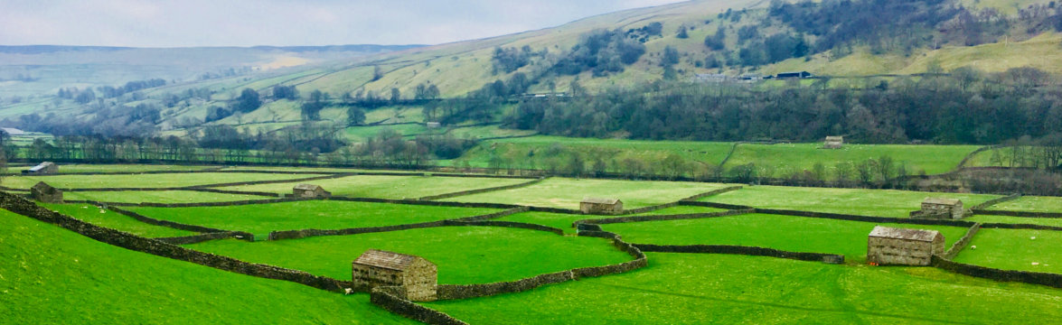 James Herriot Countryside