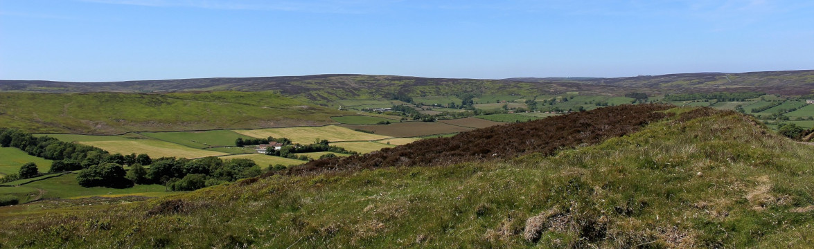 North York moors