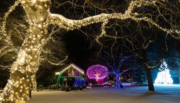 Christmas light walk