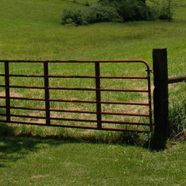 Field and gate in Bronte country