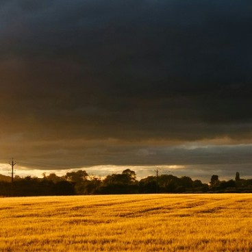 sunset over farmer's field in Thirsk